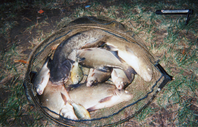 Pêche en Saone